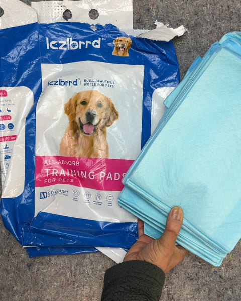 All Absorb Training Pads for Pets, 50 Count