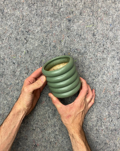 The Sill Green Ribbed Ceramic Planter, H4"