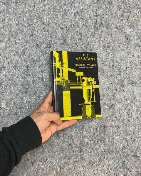The Assistant by Robert Walser