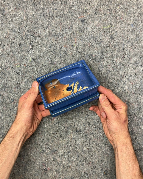 Michael Carr Cobalt Blue Rectangular Bonsai Pot, 6"