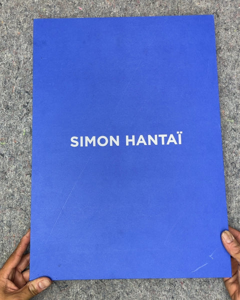 Simon Hantai Les Blancs de la Couleur by Anne Baldassari