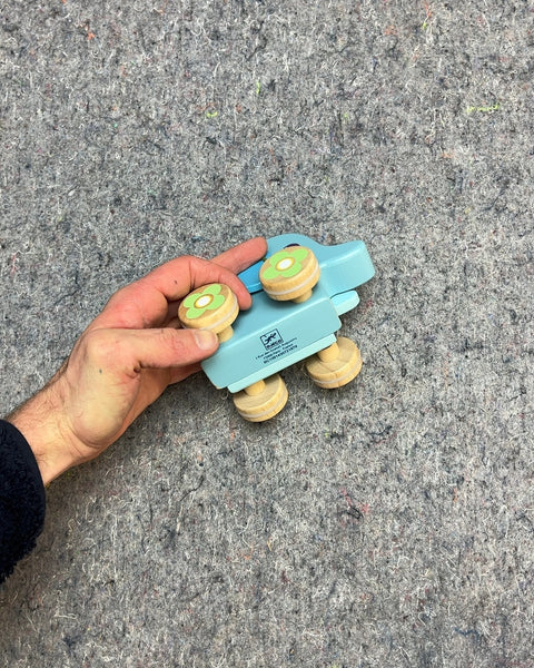 Djeco PitiSing Musical Push Toy