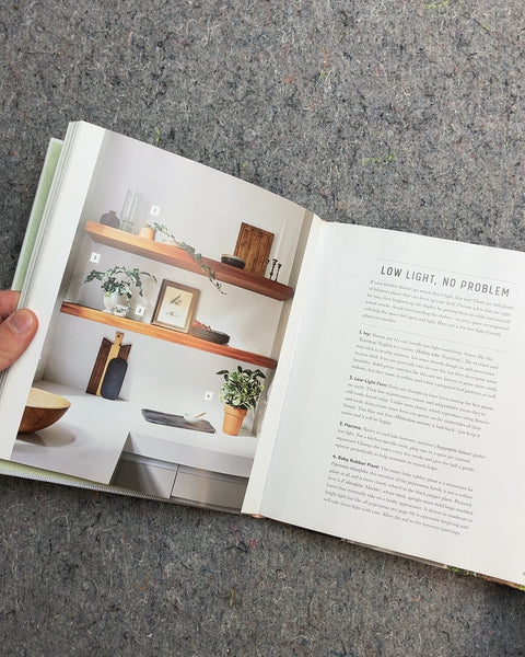 Decorating with Plants by Baylor Chapman