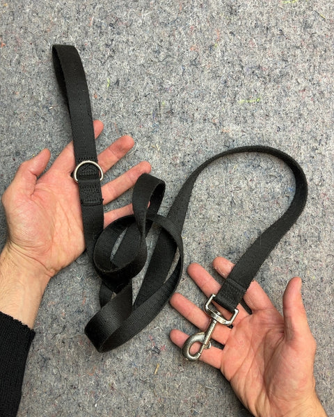 Black Nylon Pet Leash