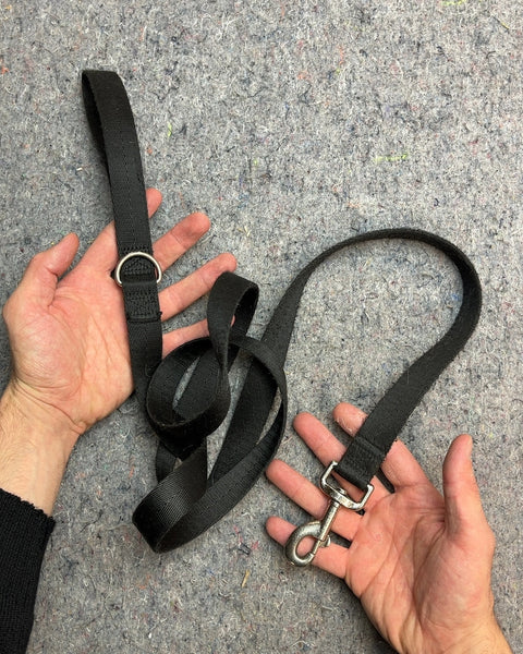 Black Nylon Pet Leash