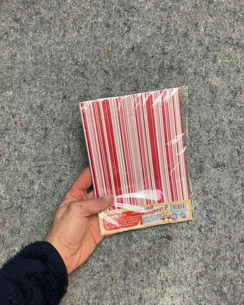 Raunchy Wrapping Paper Nice On The Outside Naughty On The Inside