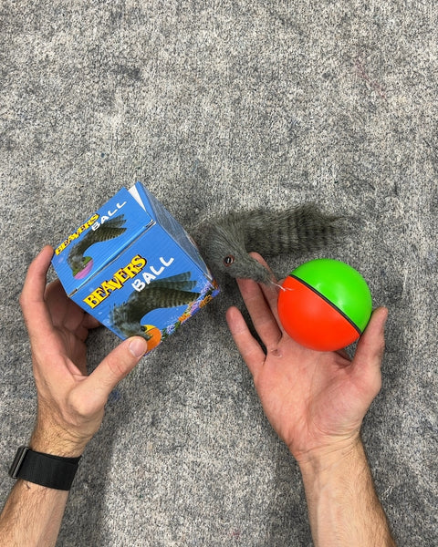 Beavers Ball Pet Toy