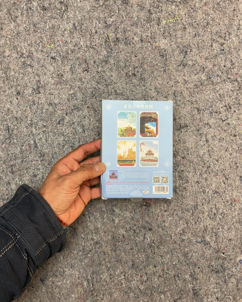 Chinese Magnet Puzzle