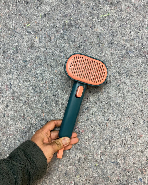 Pet Retractable Grooming Brush