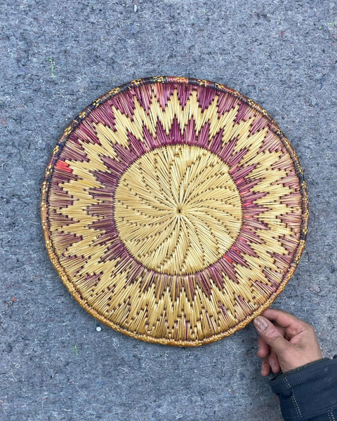 Large Decorative Coaster for Plants