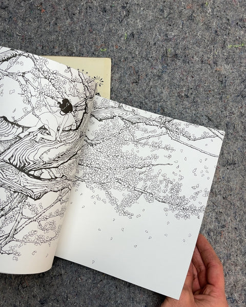 Enchanted Forest and The Time Garden Coloring Books