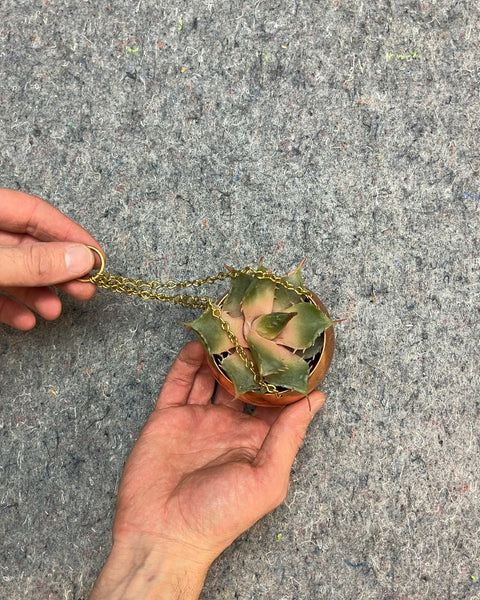 Hanging Planter with Fake Succulent