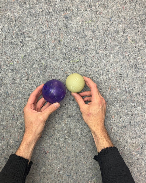 Bouncy Ball Dog Toys, Set of 2