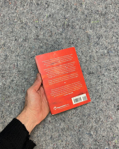 Freedom Is A Constant Struggle by Angela Y. Davis