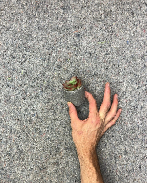 Small Fake Succulent in Fake Concrete Pot