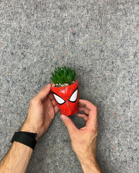 Spider-Man Head Planter with Faux Succulent