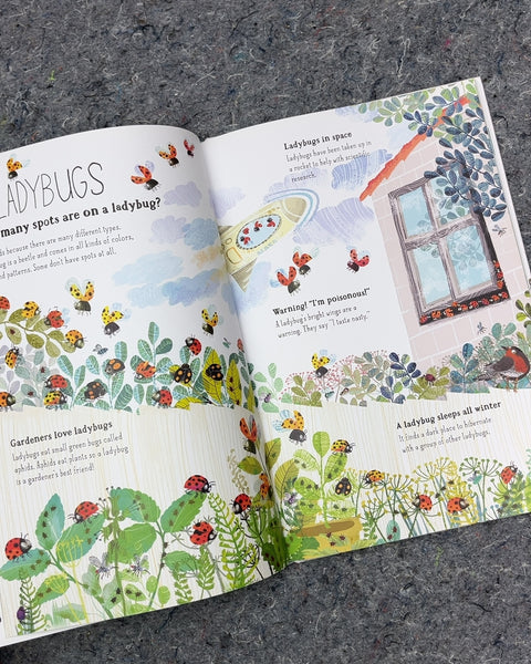 The Big Book of Bugs by Yuval Zommer