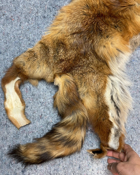Fox Pelt