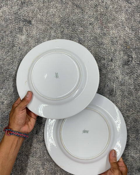 Another Grapes White Dinner Plate, 10"