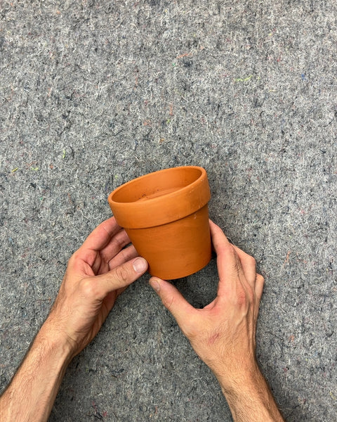 Terracotta Plant Pot, W4.5"