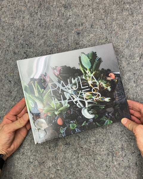 Paula Hayes Art Book