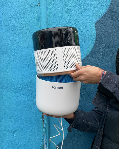 Lamon Evaporative Humidifier & Air Purifier, 4.5L