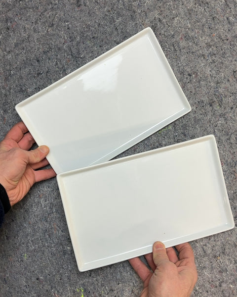 Two More CB2 Rectangular Serving Plates
