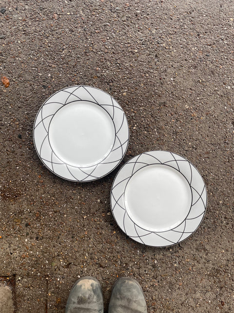 2 Geometric Design Bowls for Flat Yogurt