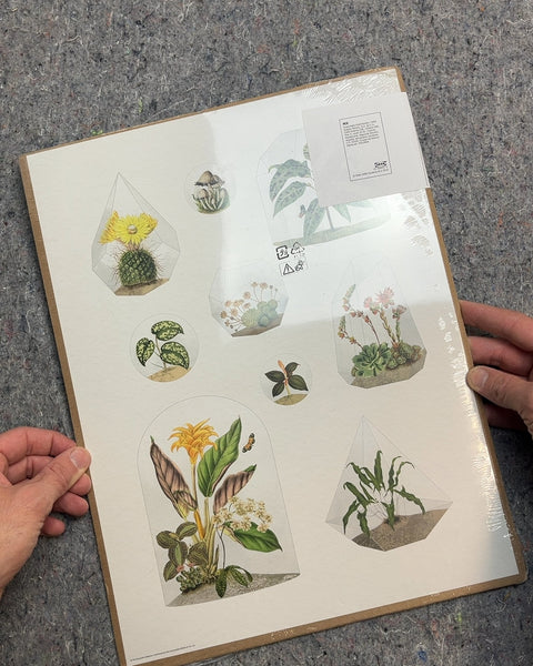 Two IKEA BILD Botanical Prints, 12x16"