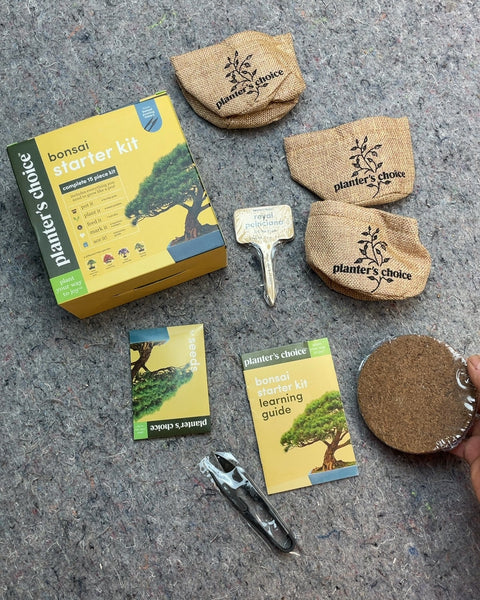 Planter's Choice Bonsai Starter Kit