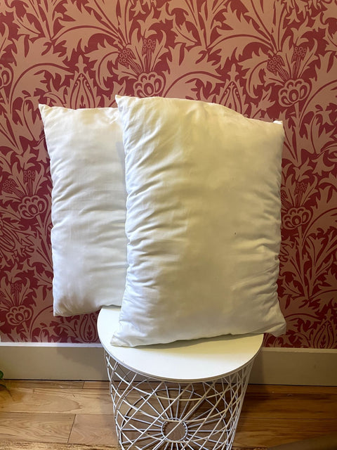 2 Clean Pillows