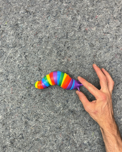 Rainbow Articulated Fidget Slug Toy