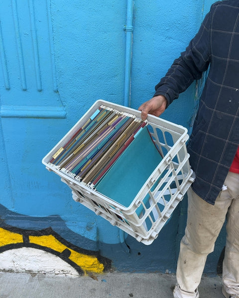 File Organizer Storage Crate, 16x16"