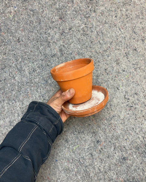 Terracotta Pot with Saucer