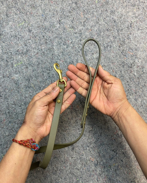 Chic Dog Leash