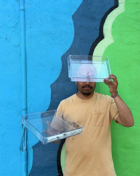 Clear Plastic Storage Bins For Your Desk