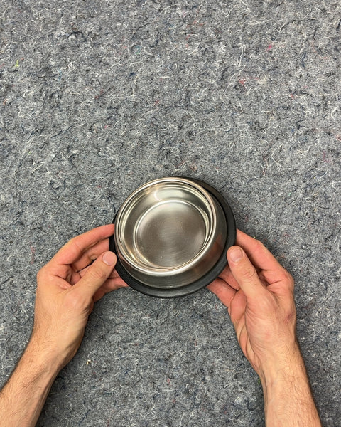 Small Stainless Steel Pet Bowl with Rubber Base