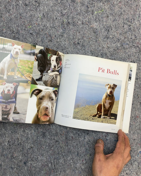 The Dogist by Elias Weiss Friedman