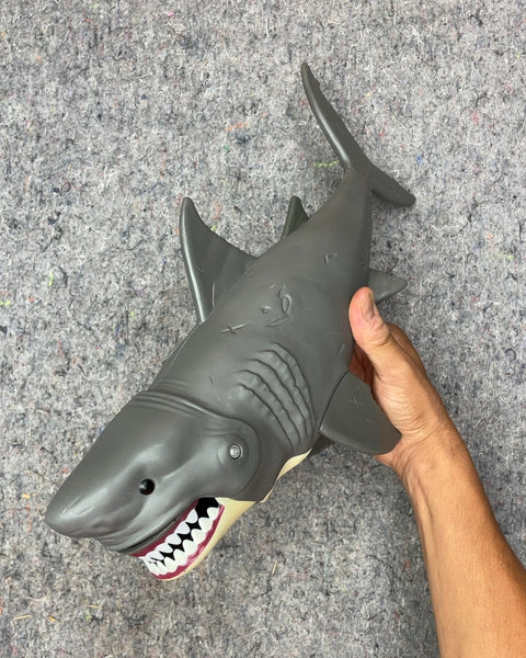 Great White Shark with Holding Bay