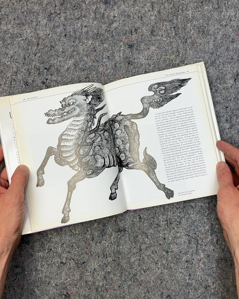 The Unicorn by Nancy Hathaway