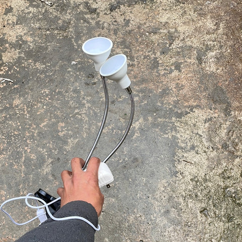 Dual Head Lamp