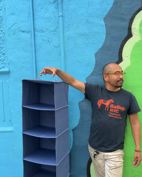 Blue Hanging Closet Organizer
