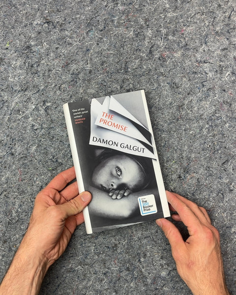 The Promise by Damon Galgut