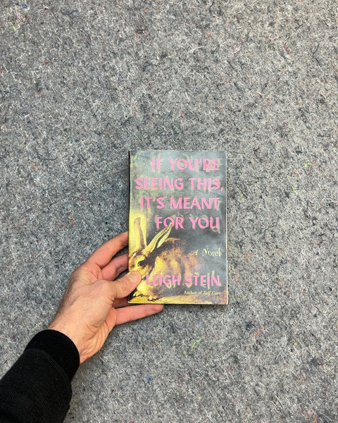 If You're Seeing This, It's Meant For You by Leigh Stein