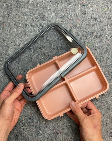 Pink Divided Flat Snack Container with Clear Lid