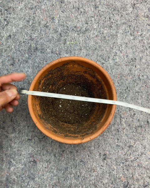 Terracotta Clay Pot with Saucer