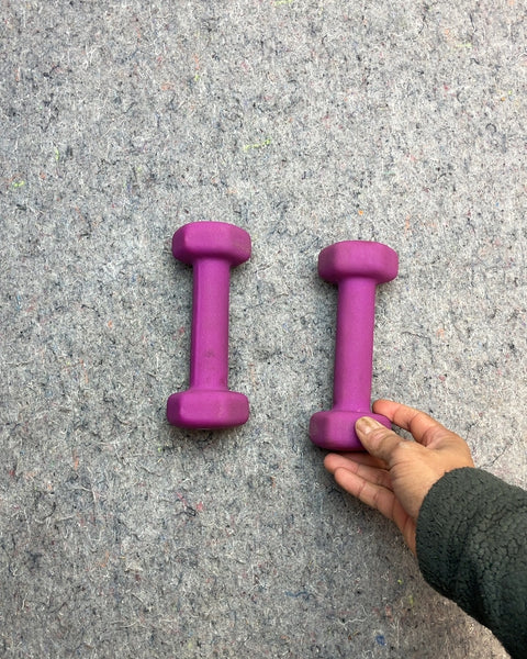 Pair of 3lb Purple Dumbbells