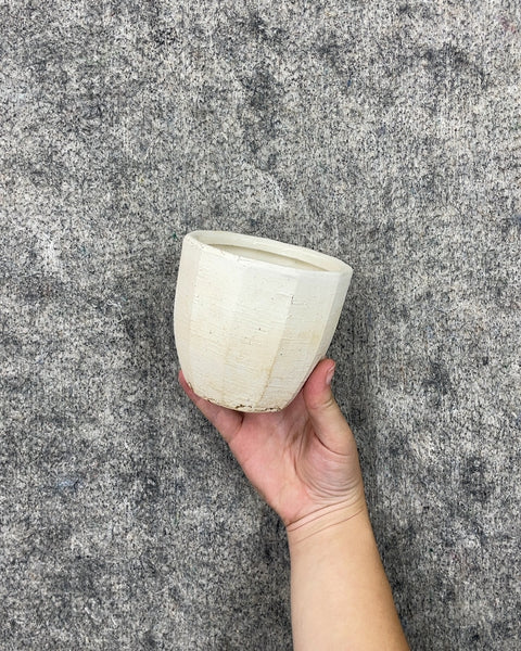 Rustic Texture White Ceramic Planter Pot, 4 in
