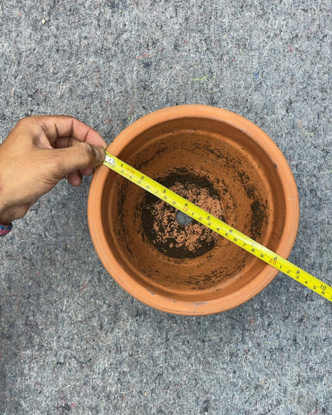 Terracotta Planter Pot with Embossed Rim, 8x6"