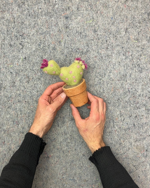 Felt Cactus in Terracotta Pot